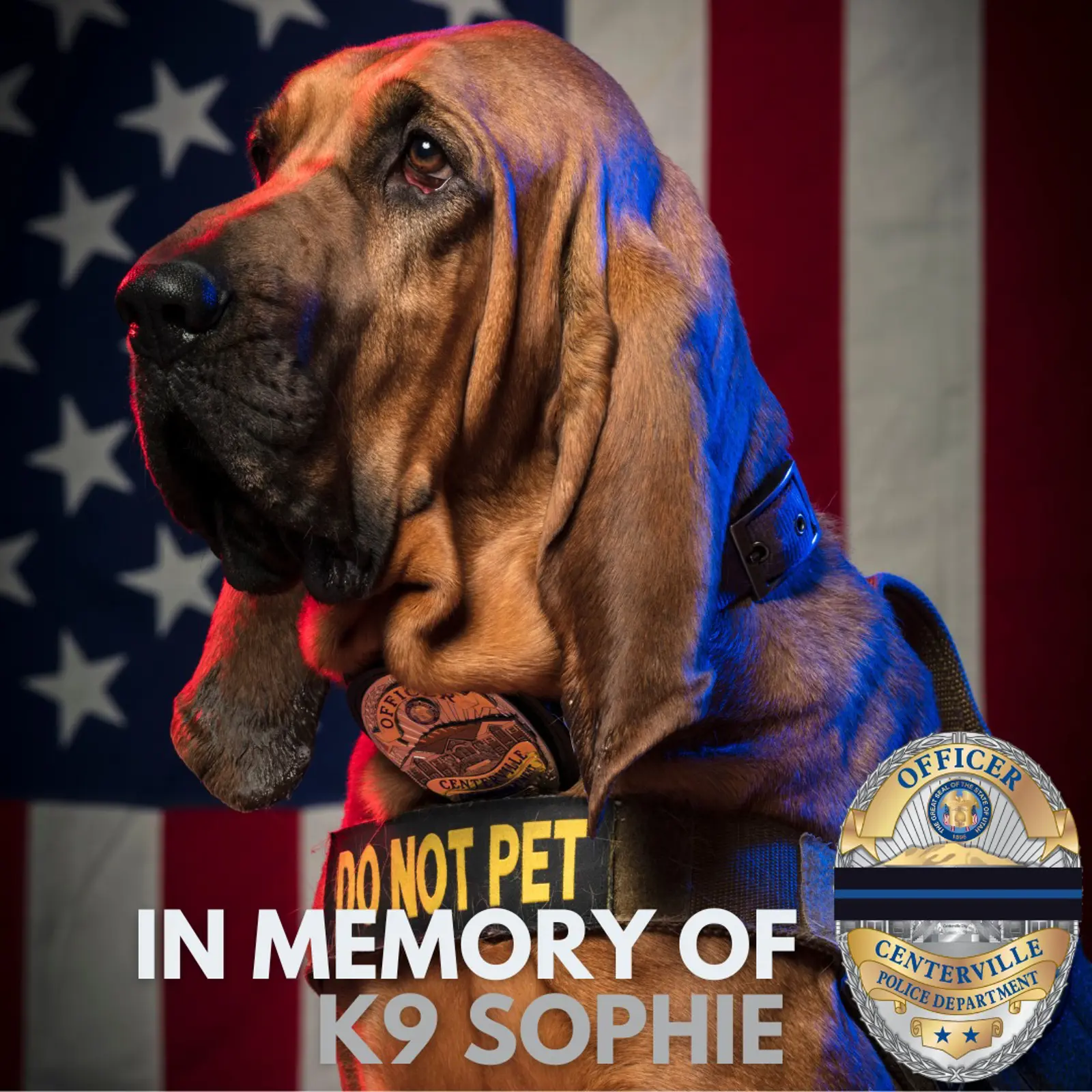 Remembering Fallen K9 Partners | Centerville City