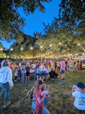 crows gathers under the tree canpay illumiated by bistro lights strung from tree to tree