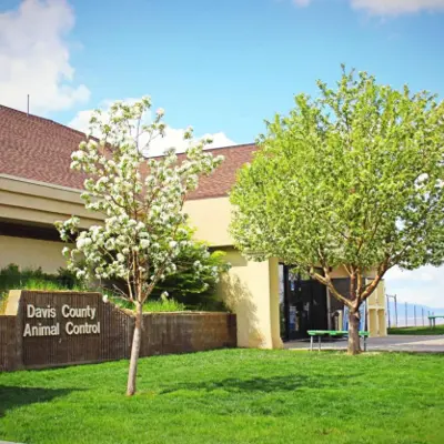 Davis county animal care building