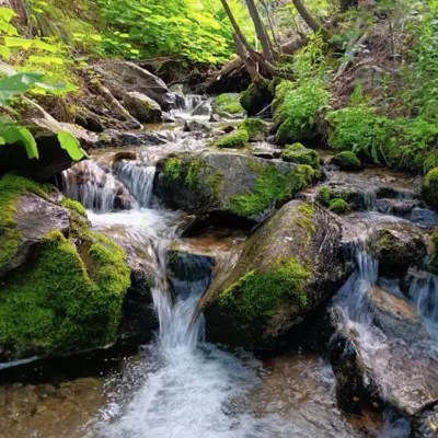 A river going through a mountain valley